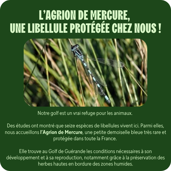 Environnement